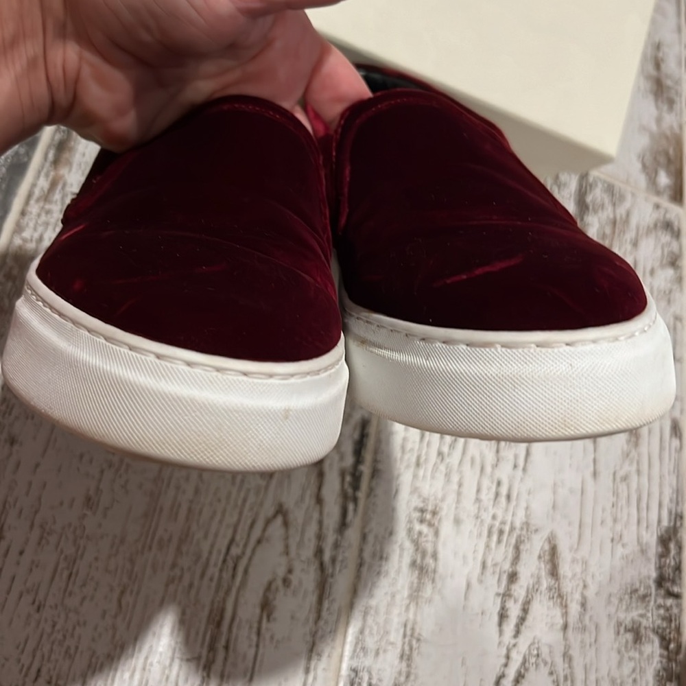 M. Gemi Sofia Velvet Sneaker - Picture 5 of 9